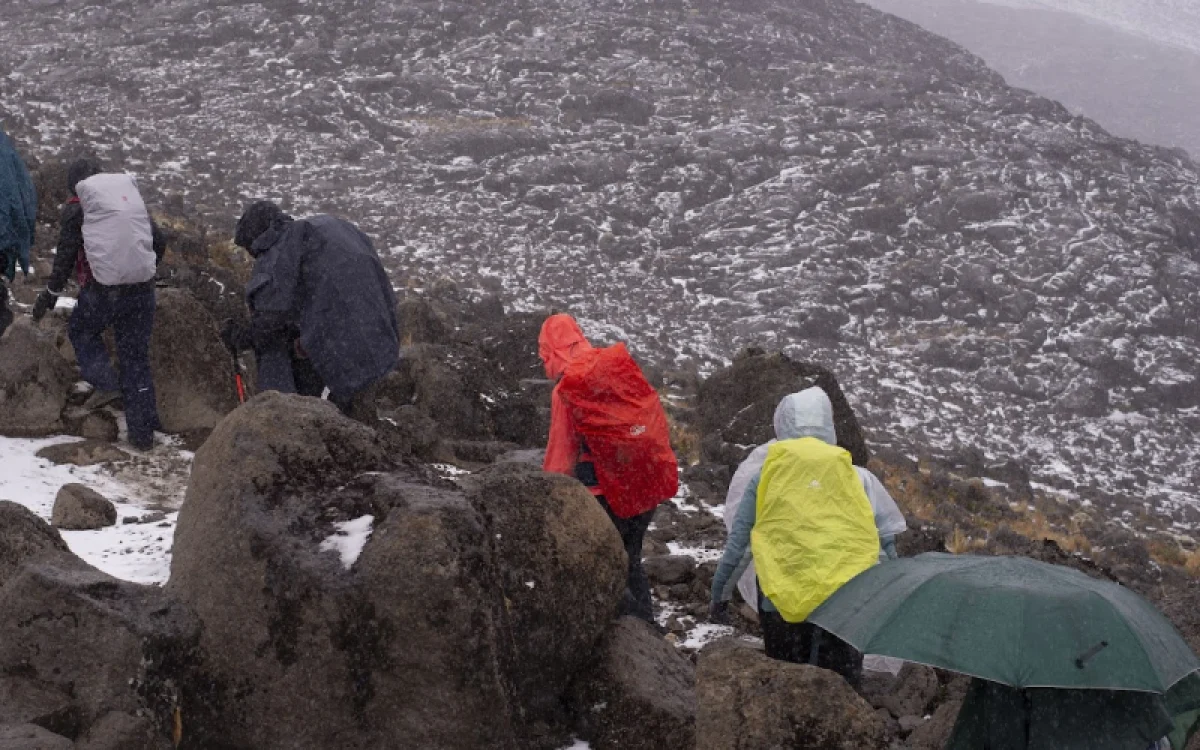 7-days-kilimanjaro-climb-rongai-route1