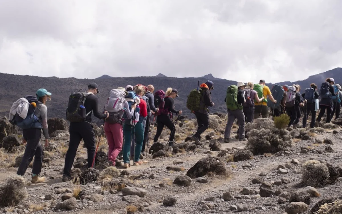 9-days-kilimanjaro-climb-lemosho-route-bannar