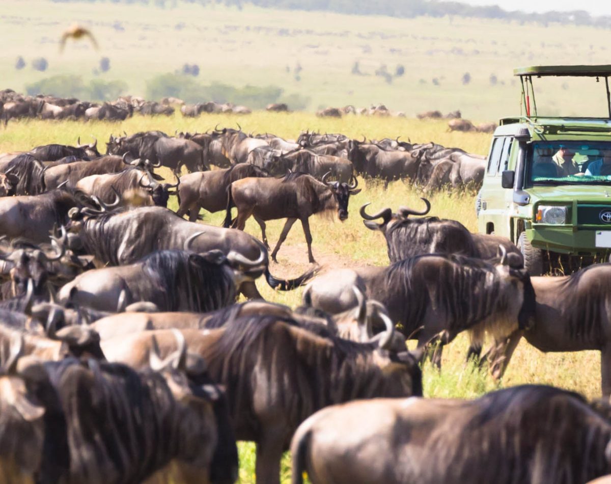 Safari To Lake Manyara, Maasai Mara National Reserve, Camping Safari